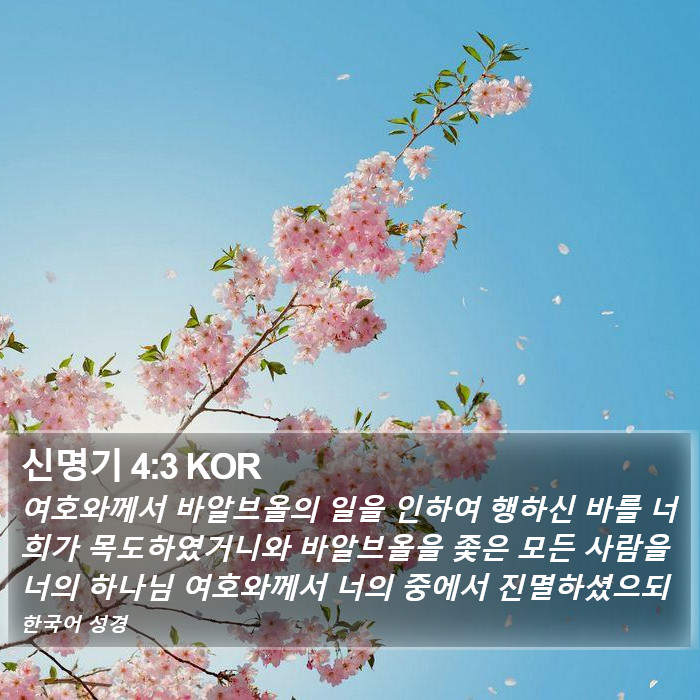 신명기 4:3 KOR Bible Study