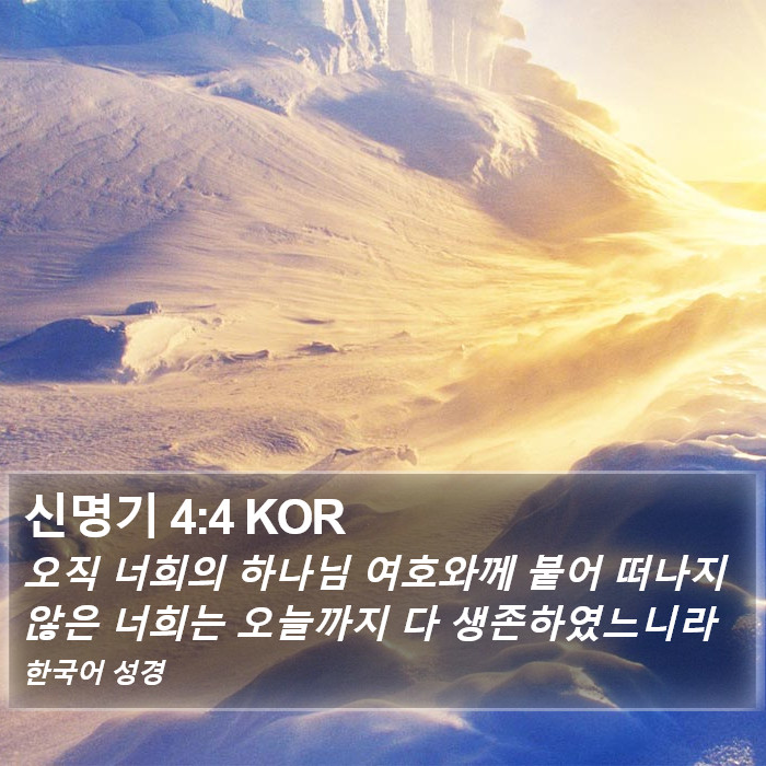 신명기 4:4 KOR Bible Study