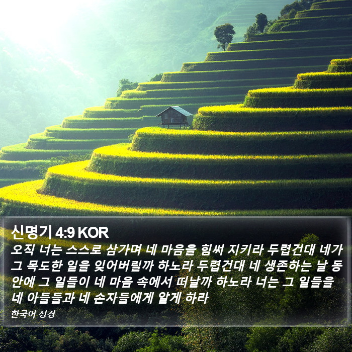 신명기 4:9 KOR Bible Study