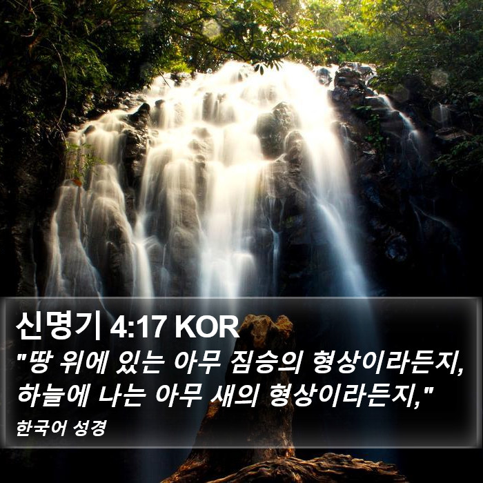 신명기 4:17 KOR Bible Study