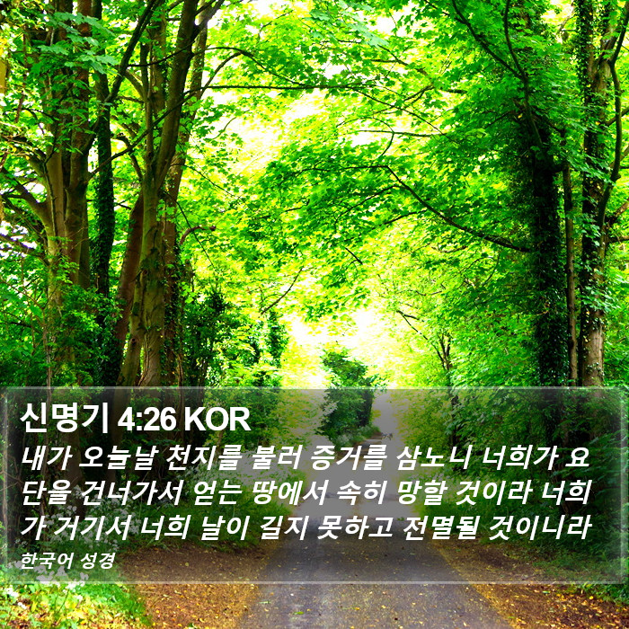 신명기 4:26 KOR Bible Study