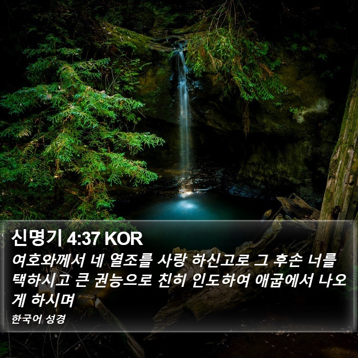 신명기 4:37 KOR Bible Study