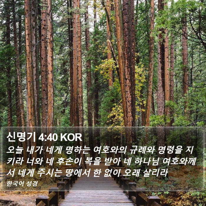 신명기 4:40 KOR Bible Study