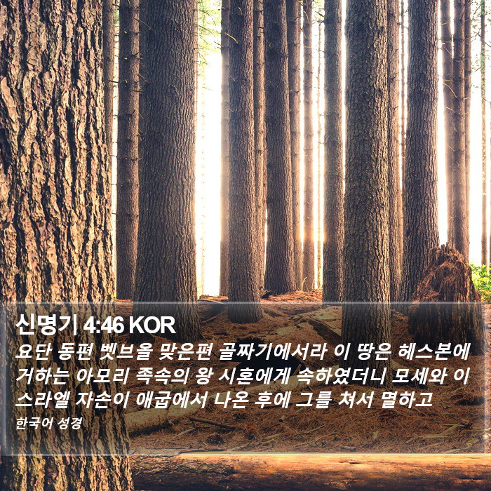 신명기 4:46 KOR Bible Study