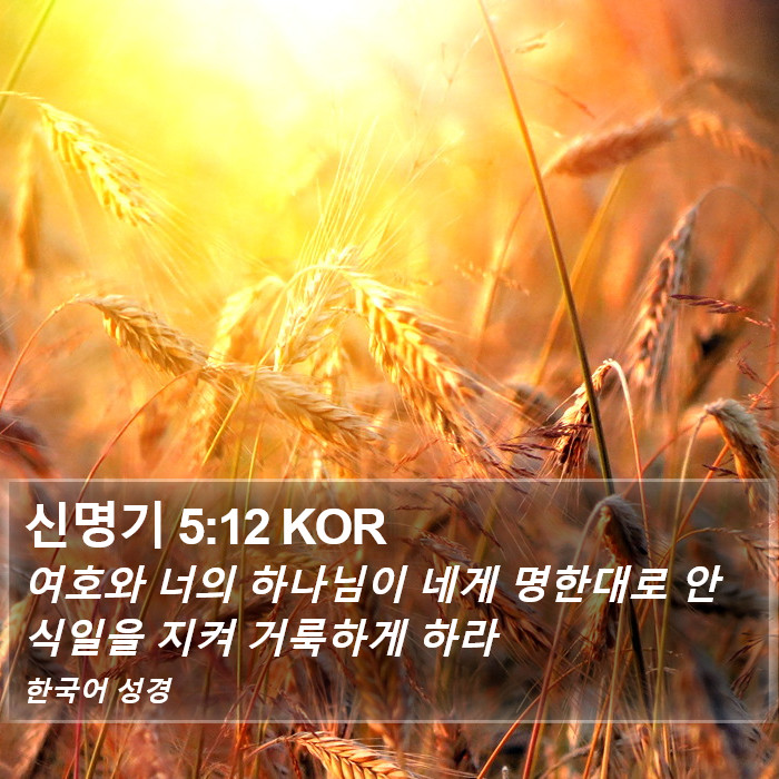 신명기 5:12 KOR Bible Study