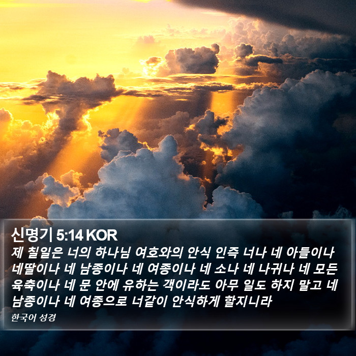 신명기 5:14 KOR Bible Study