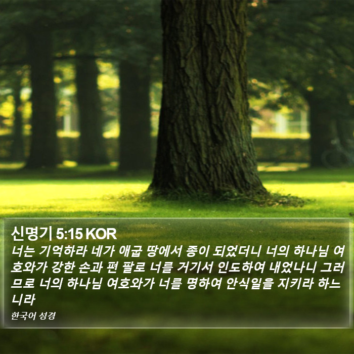 신명기 5:15 KOR Bible Study