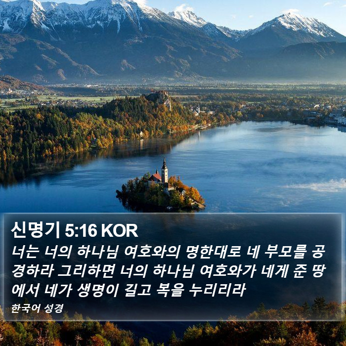 신명기 5:16 KOR Bible Study