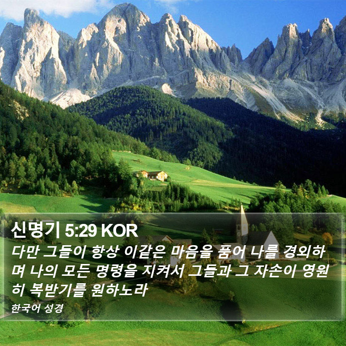 신명기 5:29 KOR Bible Study