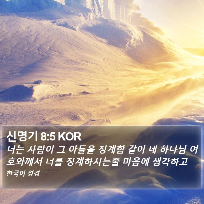 신명기 8:5 KOR Bible Study