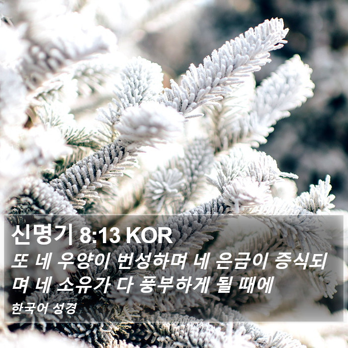 신명기 8:13 KOR Bible Study