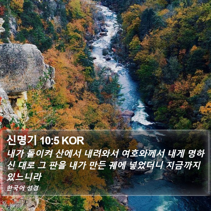 신명기 10:5 KOR Bible Study