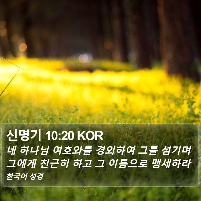 신명기 10:20 KOR Bible Study