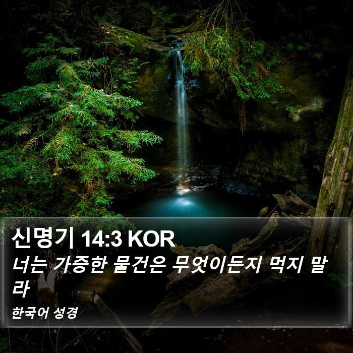 신명기 14:3 KOR Bible Study