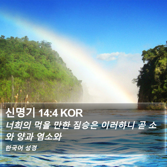 신명기 14:4 KOR Bible Study