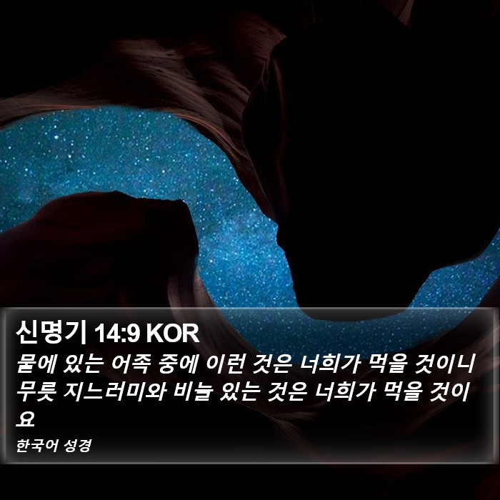 신명기 14:9 KOR Bible Study