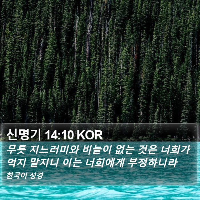 신명기 14:10 KOR Bible Study