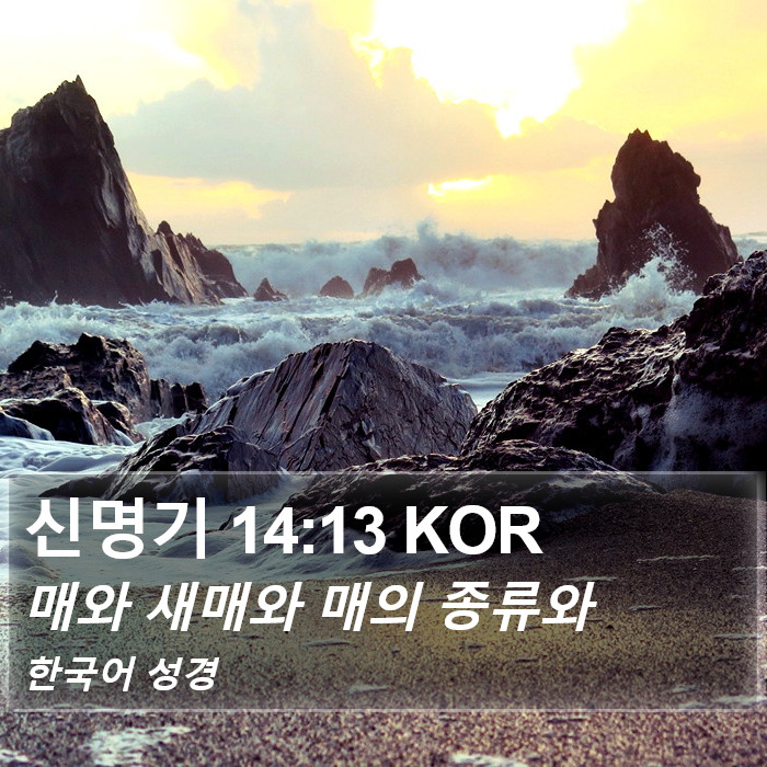 신명기 14:13 KOR Bible Study