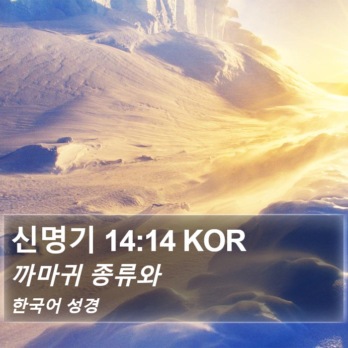 신명기 14:14 KOR Bible Study