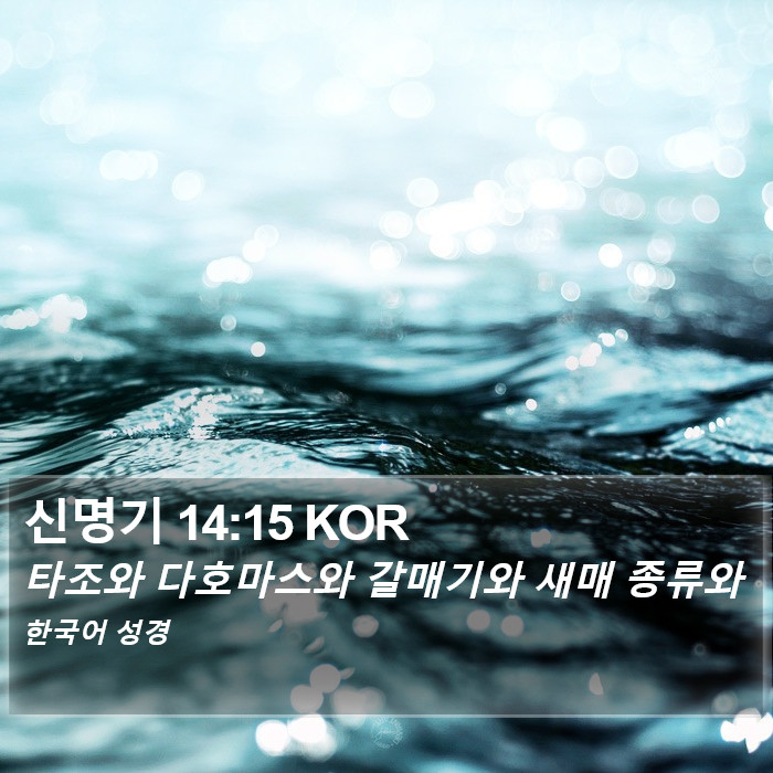 신명기 14:15 KOR Bible Study