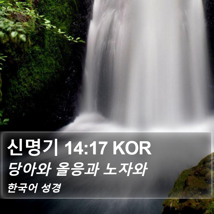 신명기 14:17 KOR Bible Study