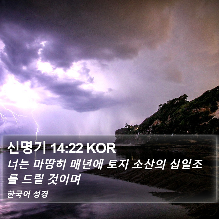 신명기 14:22 KOR Bible Study