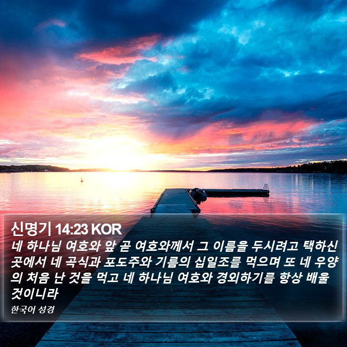 신명기 14:23 KOR Bible Study