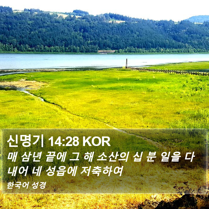 신명기 14:28 KOR Bible Study