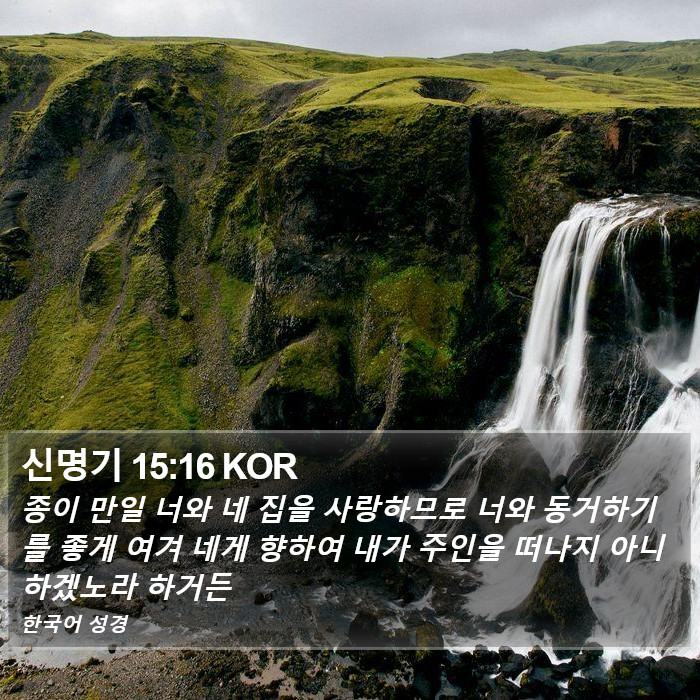 신명기 15:16 KOR Bible Study