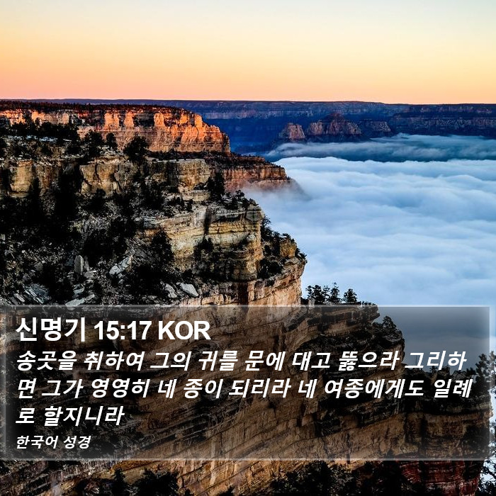 신명기 15:17 KOR Bible Study