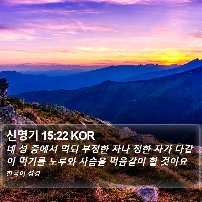 신명기 15:22 KOR Bible Study