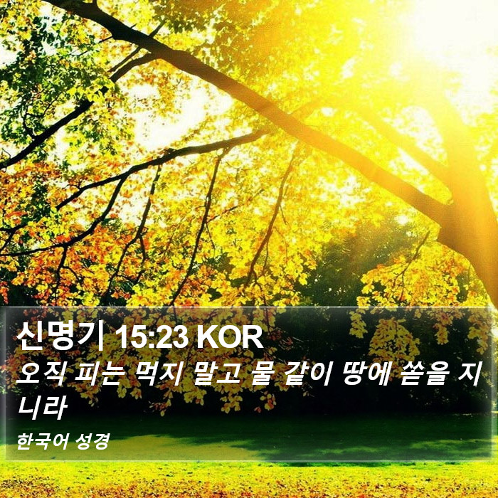 신명기 15:23 KOR Bible Study