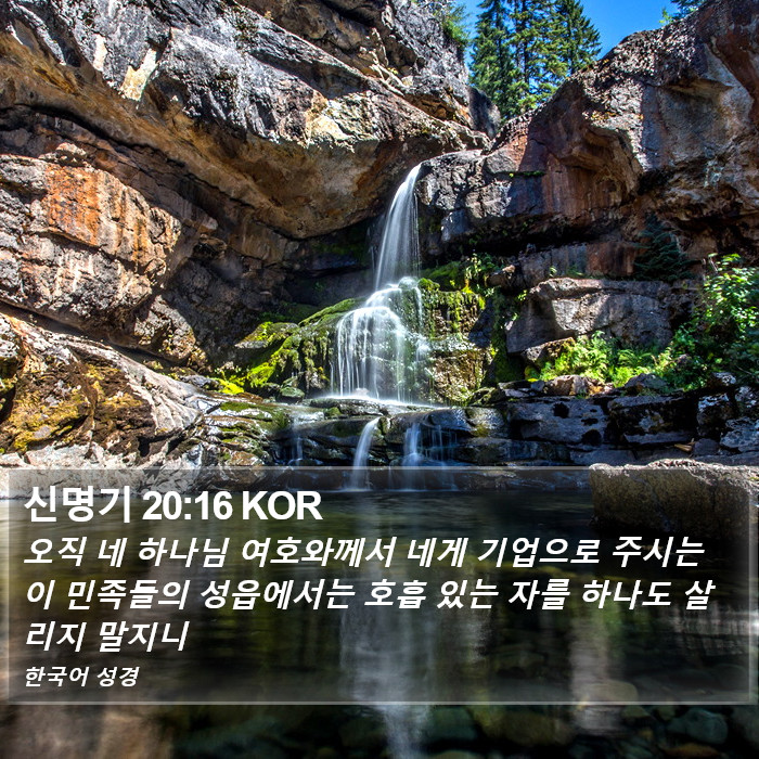 신명기 20:16 KOR Bible Study