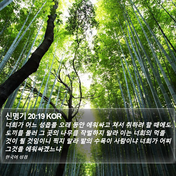 신명기 20:19 KOR Bible Study