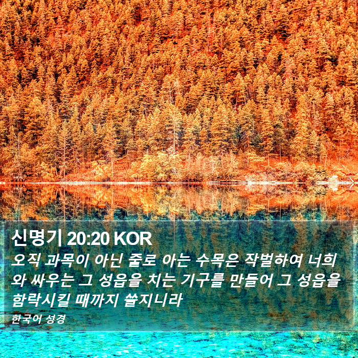 신명기 20:20 KOR Bible Study