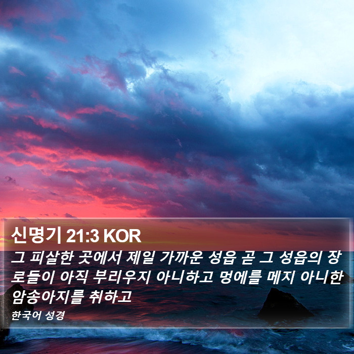 신명기 21:3 KOR Bible Study