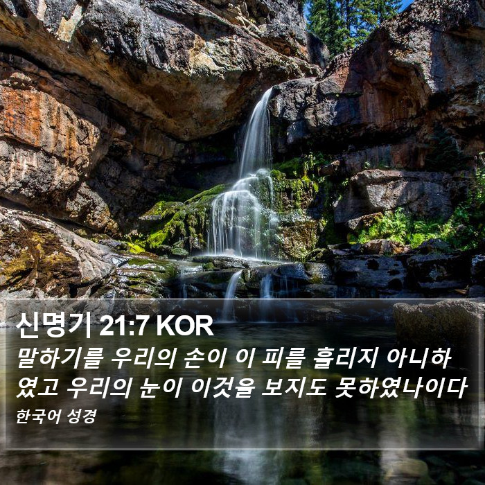 신명기 21:7 KOR Bible Study