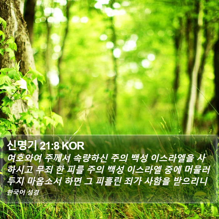 신명기 21:8 KOR Bible Study