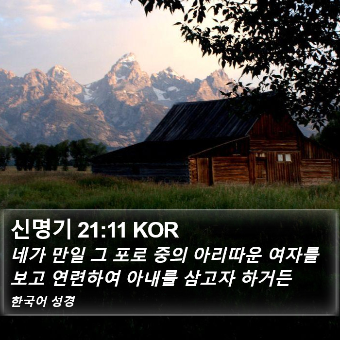 신명기 21:11 KOR Bible Study