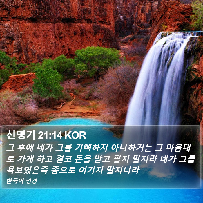 신명기 21:14 KOR Bible Study