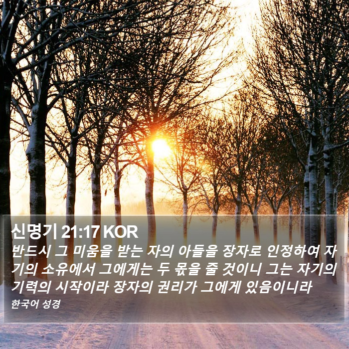 신명기 21:17 KOR Bible Study