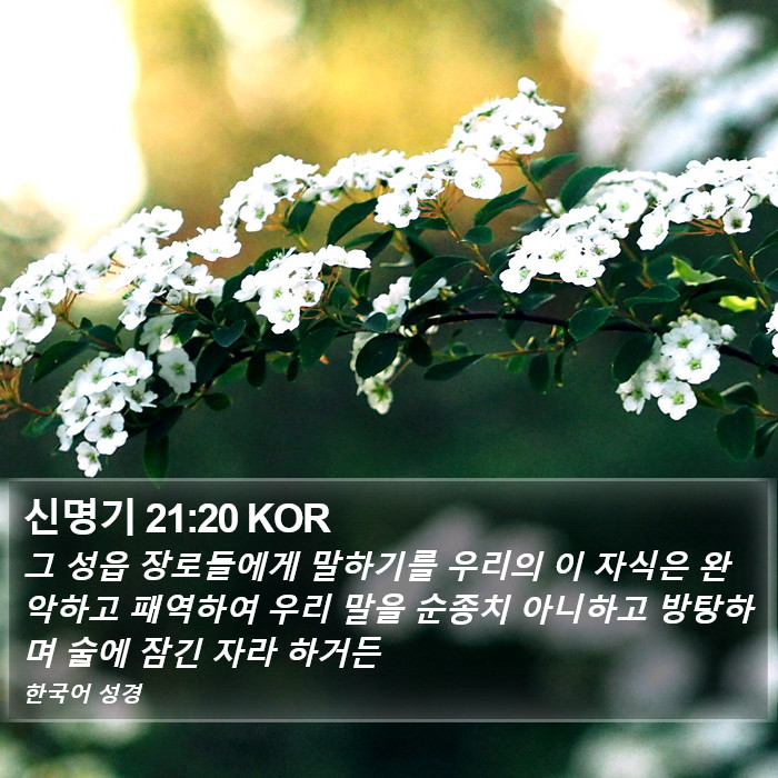 신명기 21:20 KOR Bible Study