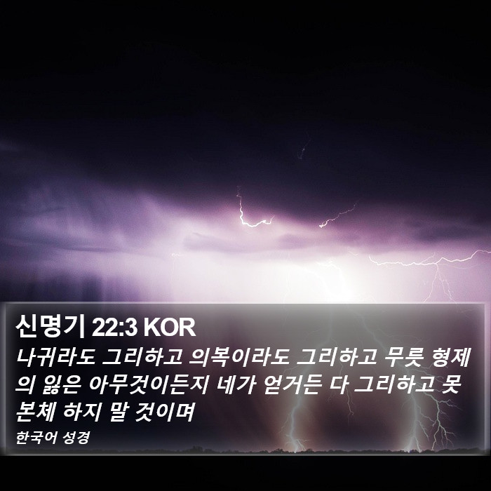 신명기 22:3 KOR Bible Study