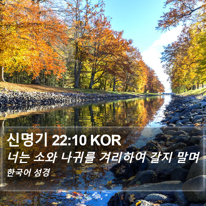 신명기 22:10 KOR Bible Study