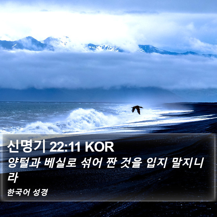 신명기 22:11 KOR Bible Study