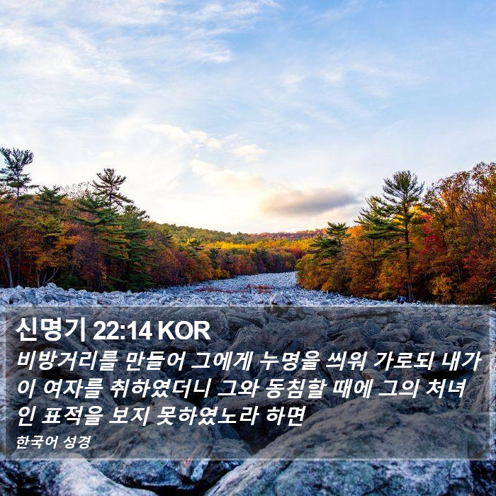 신명기 22:14 KOR Bible Study