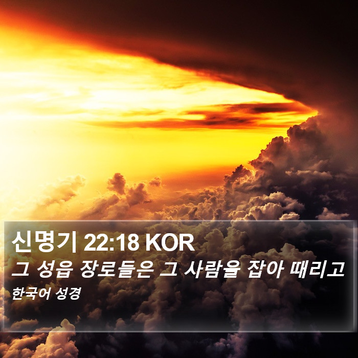 신명기 22:18 KOR Bible Study