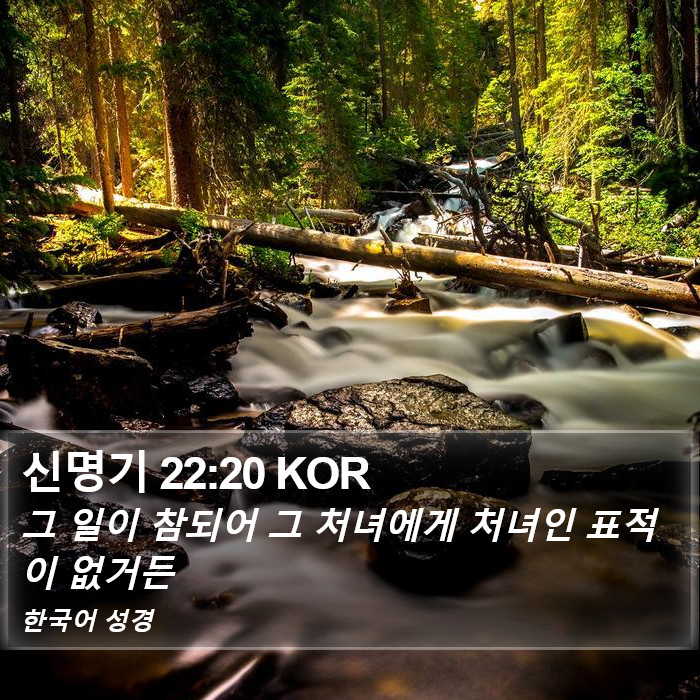 신명기 22:20 KOR Bible Study