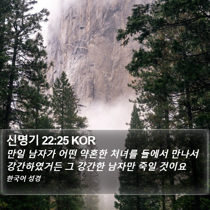 신명기 22:25 KOR Bible Study