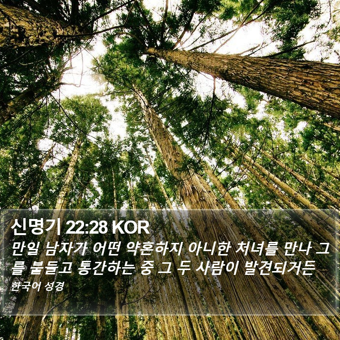 신명기 22:28 KOR Bible Study